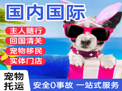 南洋航空空运国际宠物托运 【国